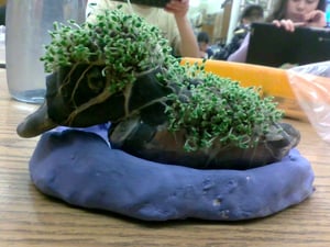 Chesapeake Bay Chia Pets 2022-2023 (17)